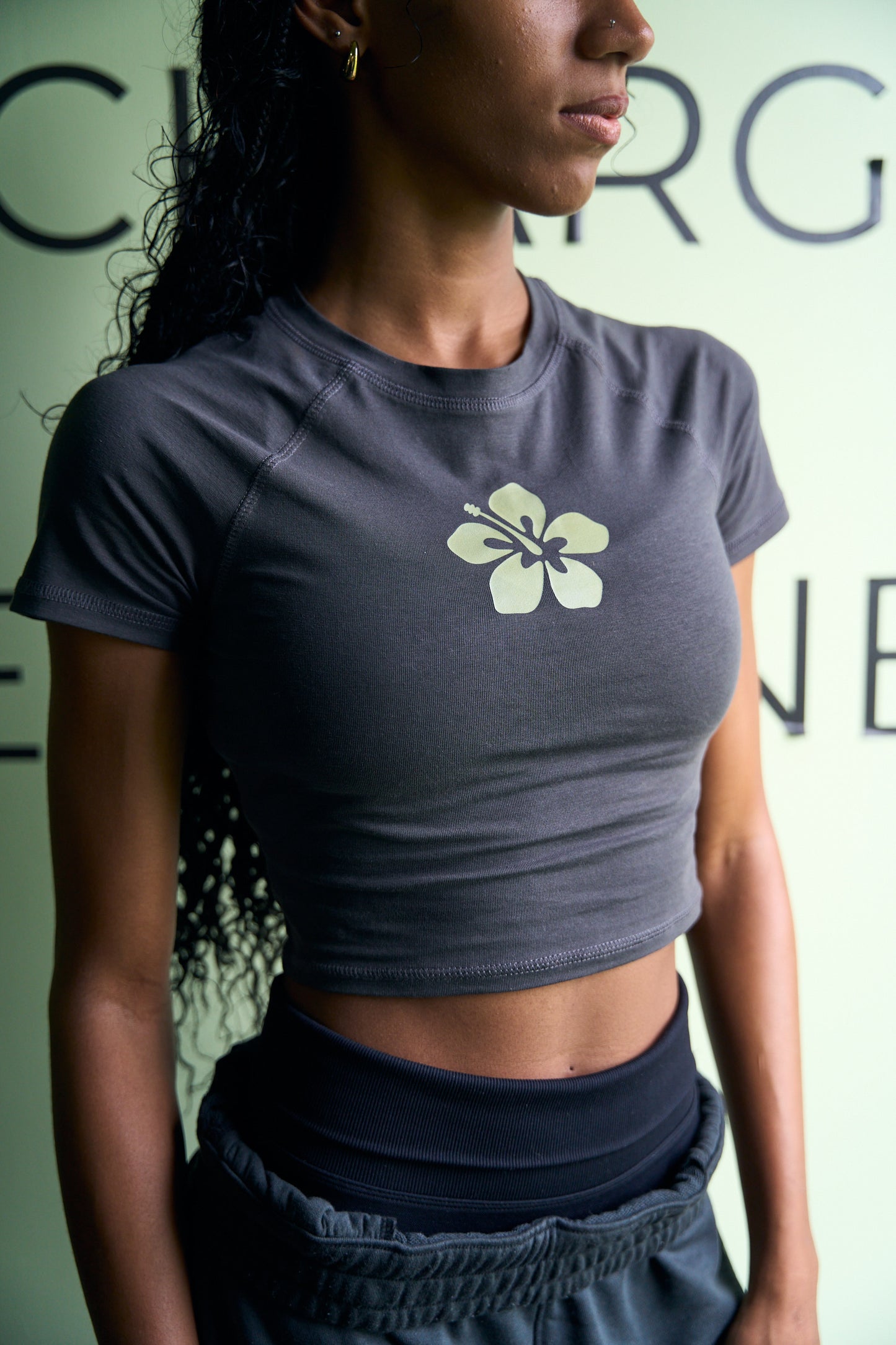 Hibiscus T