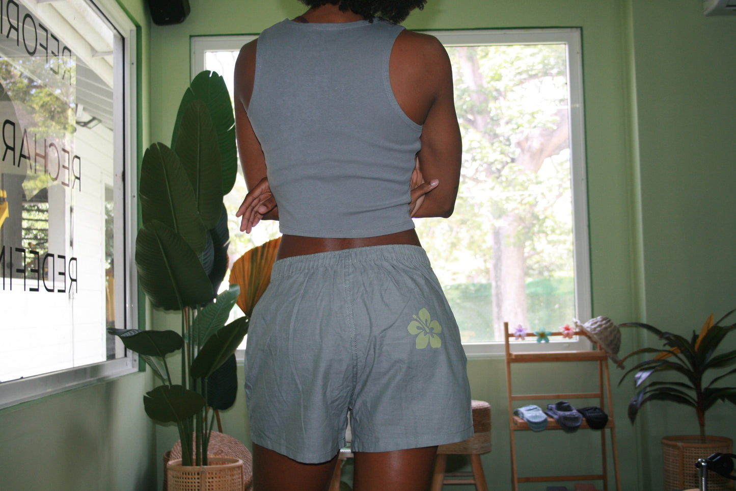 Hibiscus Boxer
